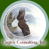 Eagles Consulting, Inc