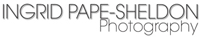 Pape Sheldon Photography